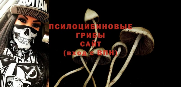 дживик Алексин