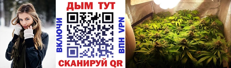 Шишки марихуана SATIVA & INDICA  Купить где  Медвежьегорск 